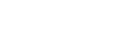 True North — occupational therapy services